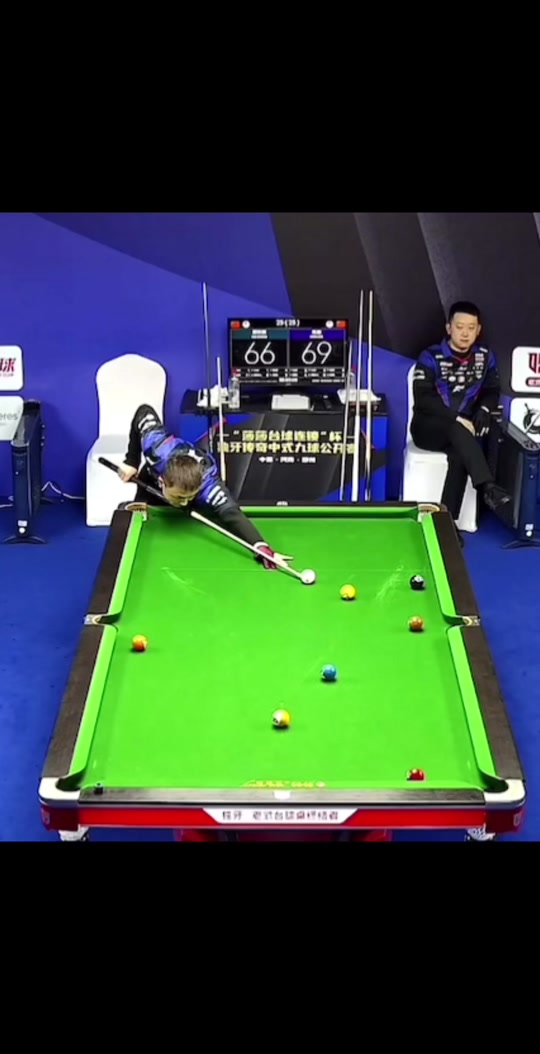 不仅展示了 不仅展示了