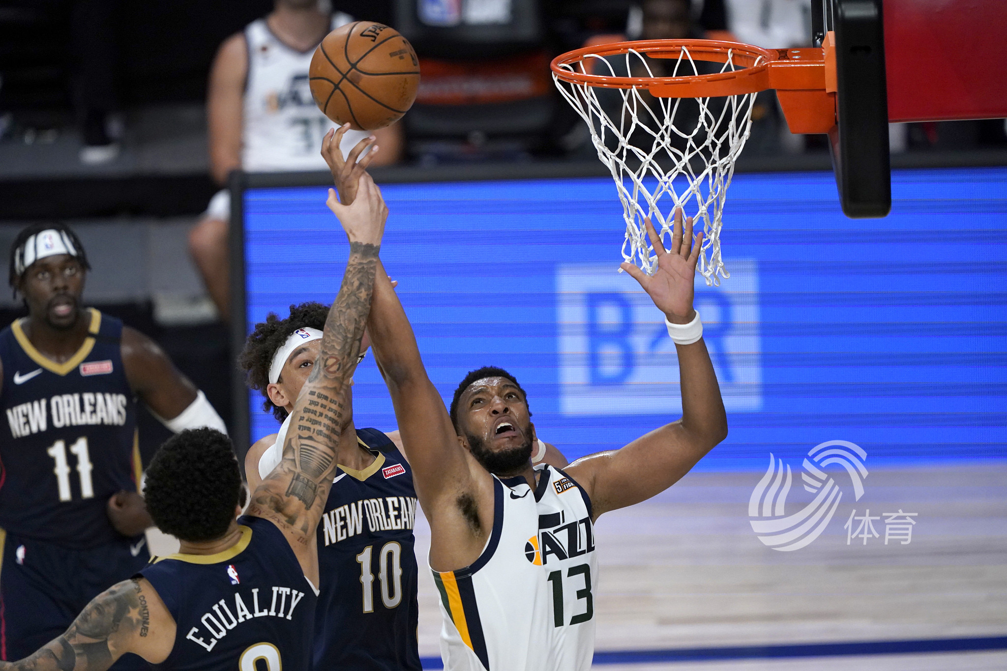 队员过于注 队员过于注